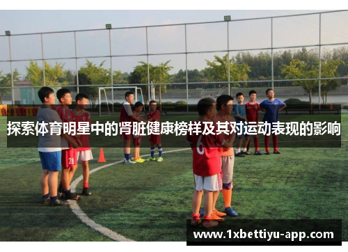 探索体育明星中的肾脏健康榜样及其对运动表现的影响